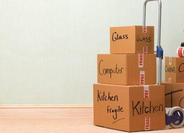 النقل والتعبئة